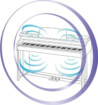 Kuyruklu Piyano Akustik Sistemi