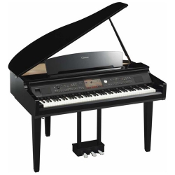 Piyano Fiyatlari Ve Modelleri Doremusic